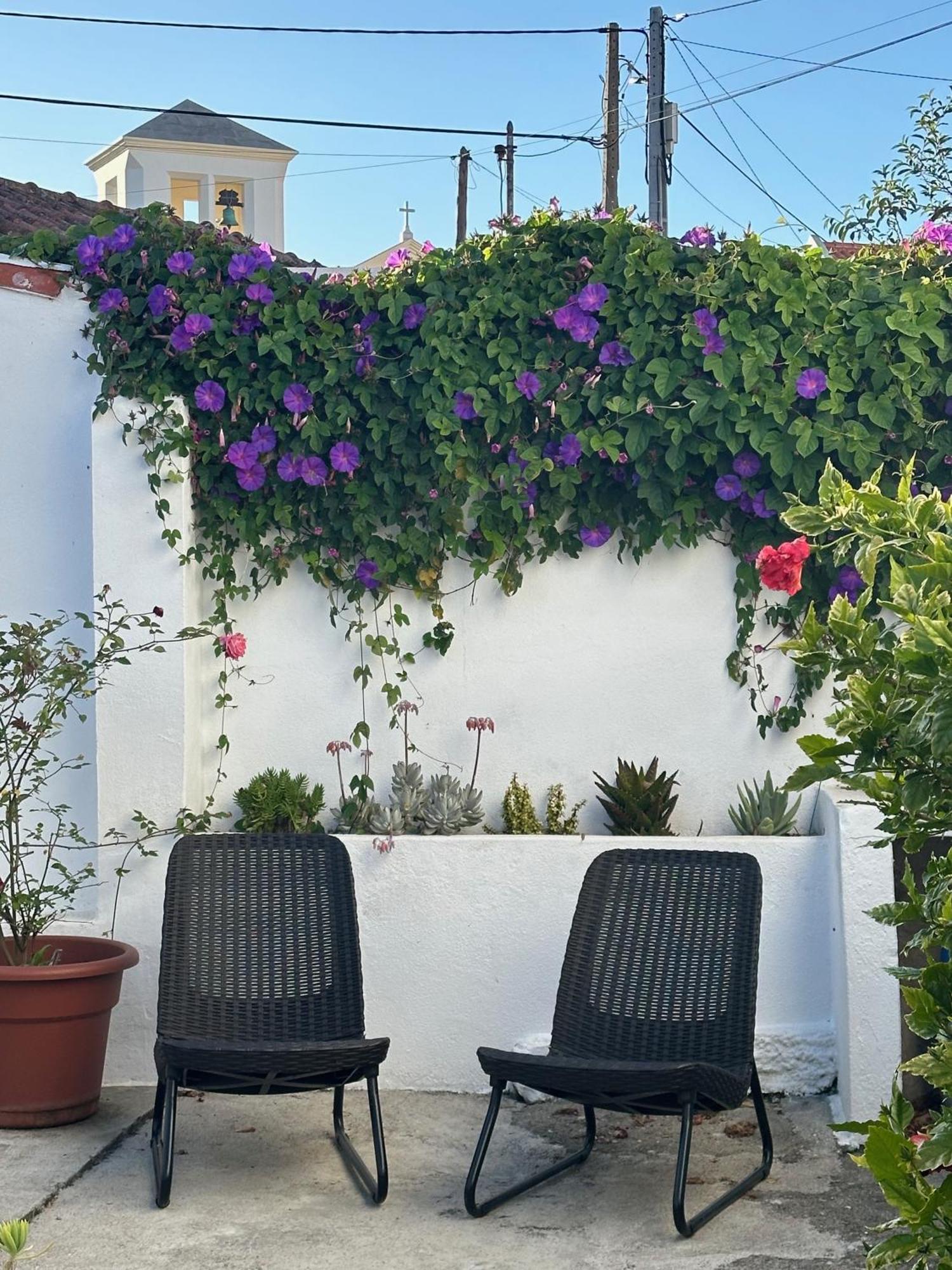 Rose's Foz Holiday home Foz do Arelho